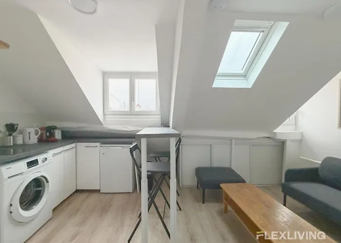 Appartement Comfortable And Bright Large 10th Parijs