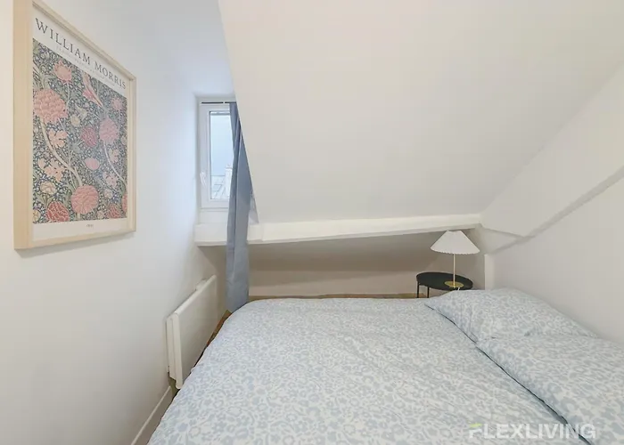 Comfortable And Bright Large 10th