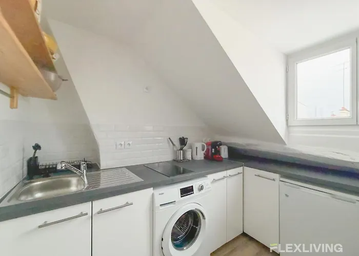 Comfortable And Bright Large 10th Apartment Paris